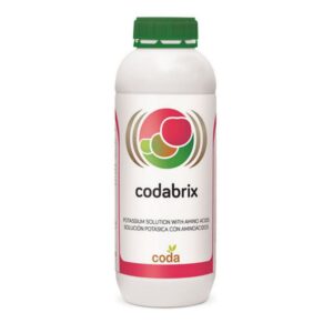 کدابریکس – Codabrix