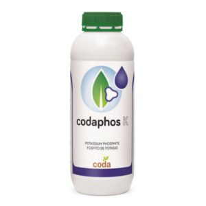 کدافوس کی – Coda phos K