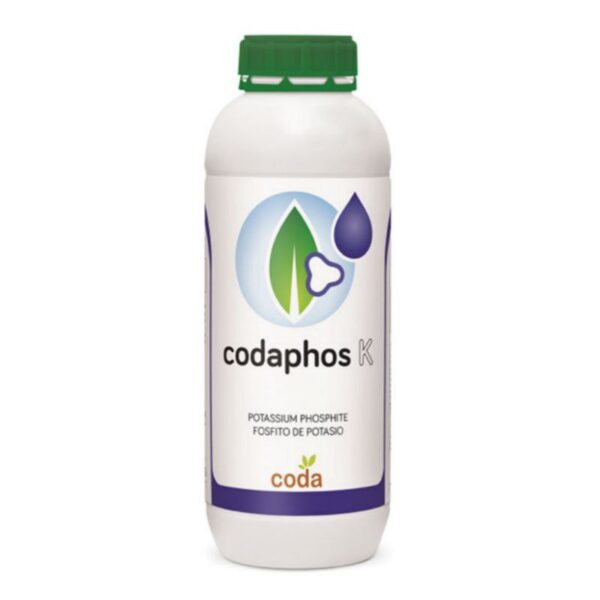 کدافوس کی – Coda phos K