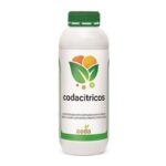 کداسیتروس – Coda Citrus