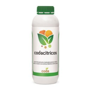 کداسیتروس – Coda Citrus