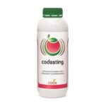 کدا استینگ – Codasting