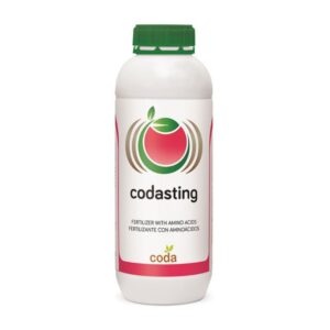 کدا استینگ – Codasting
