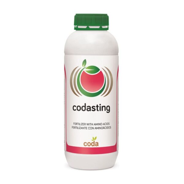 کدا استینگ – Codasting