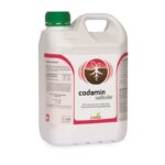 کدامین رادیکولار – Codamin Radicular