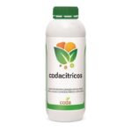 کداسیتروس – Coda Citrus