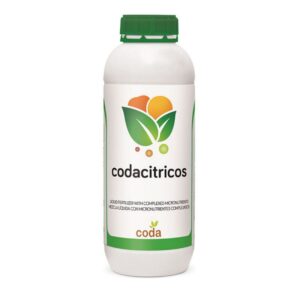 کداسیتروس – Coda Citrus