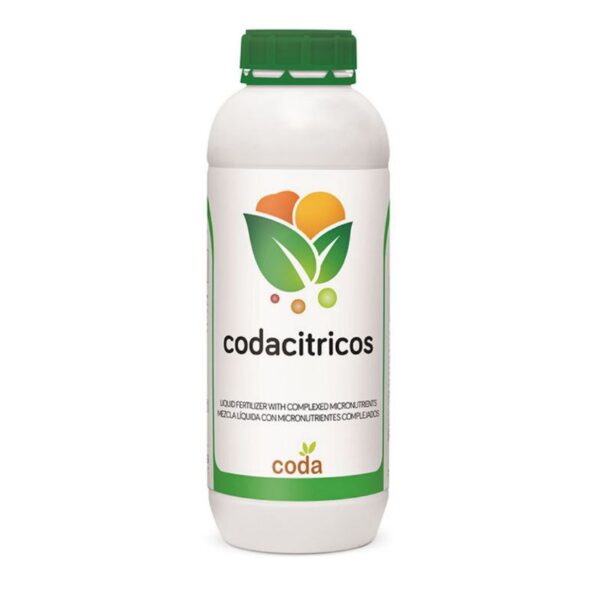 کداسیتروس – Coda Citrus