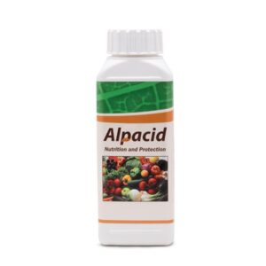آلپاسيد – Alpacid