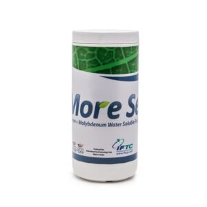 مورست – More Set