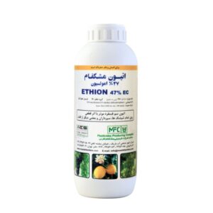 اتیون مشکفام