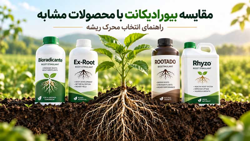 مقایسه بیورادیکانت